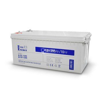 Аккумулятор гелевой 12В 200А&middot;ч для ИБП Full Energy FEL-12200 68687 фото